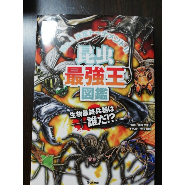 昆虫最強王図鑑 エンタメ/ホビーの本(絵本/児童書)の商品写真