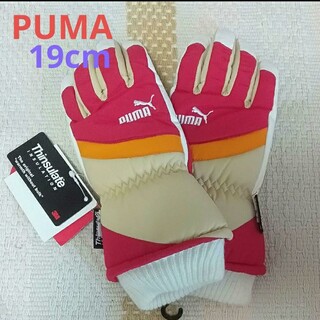 プーマ(PUMA)のPUMA (プーマ)  ジュニア スキー スノーグローブ  手袋 (サイズ19)(手袋)