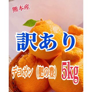 (訳あり) デコポン5kg  訳あり理由は見た目だけ　気にしない方向け　熊本産(フルーツ)