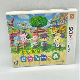 ニンテンドー3DS(ニンテンドー3DS)のとびだせ どうぶつの森 3DS(その他)