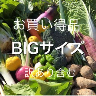 訳あり含む　採れたて新鮮野菜詰め合わせ　10kg(野菜)