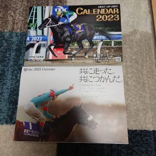 2023年 JRAオリジナルカレンダー 　南関東4競馬場カレンダー 2冊(カレンダー/スケジュール)