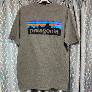 パタゴニア(patagonia)のpatagonia Tシャツ　グレー　Sサイズ(Tシャツ/カットソー(半袖/袖なし))