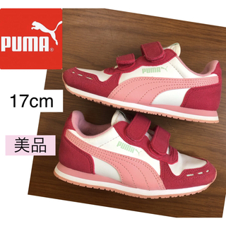 プーマ(PUMA)のプーマ　スニーカー　17cm 女の子　運動靴　キッズ　シューズ　ピンク　16.5(スニーカー)