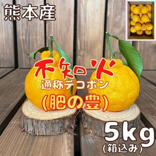 数量限定 不知火 L 5kg(デコポン)(フルーツ)