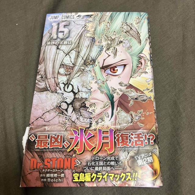 Ｄｒ．ＳＴＯＮＥ １５ | フリマアプリ ラクマ