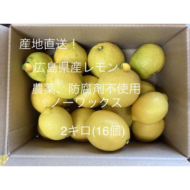 産地直送！広島県産レモン　2キロ　農薬、防腐剤不使用、ノーワックス