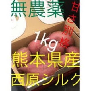 無農薬シルクスイートサツマイモ 貯蔵 熟成 西原シルク1キロ送料無料Sサイズ(野菜)