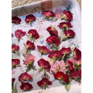 ミニ薔薇の押し花 （茎なし〜数㍉）30枚セット＋おまけ5枚付き
