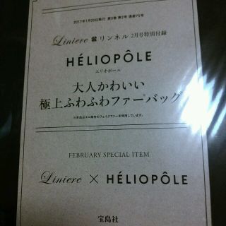 エリオポール(heliopole)のリンネル2月号付録ふわふわファーバッグ(ショルダーバッグ)