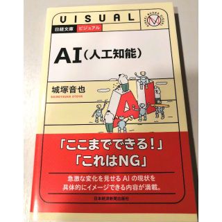 ビジュアルAI(人工知能) /  新品(コンピュータ/IT)