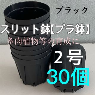 ✳️【スリット鉢】プラ鉢直径6cm 2号　30個セット【新品】ブラック(プランター)