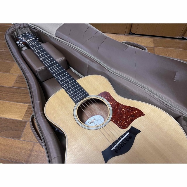 Taylor GS Mini-e