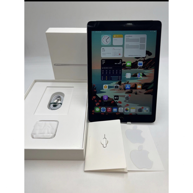 iPad Air2 A1567 64GB キャリア SoftBank