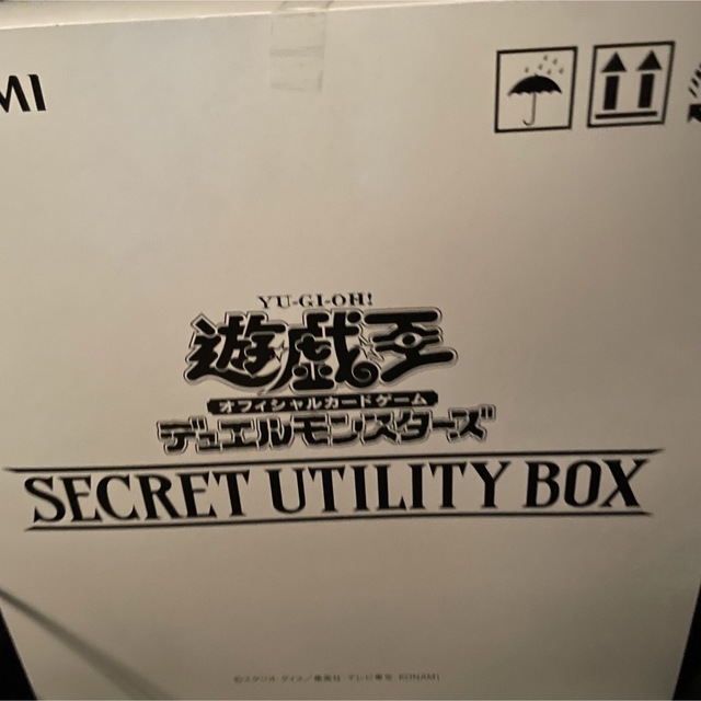 シークレットユーティリティ　secret utility box   カートン