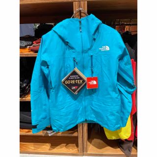 【絶版・未使用品】 THE NORTH FACE／GTX PRO JKTサイズS