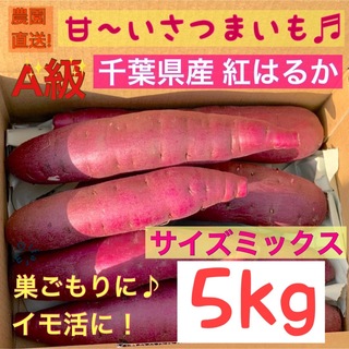 千葉県産サツマイモ　熟成紅はるか　サイズミックス　5kg(野菜)