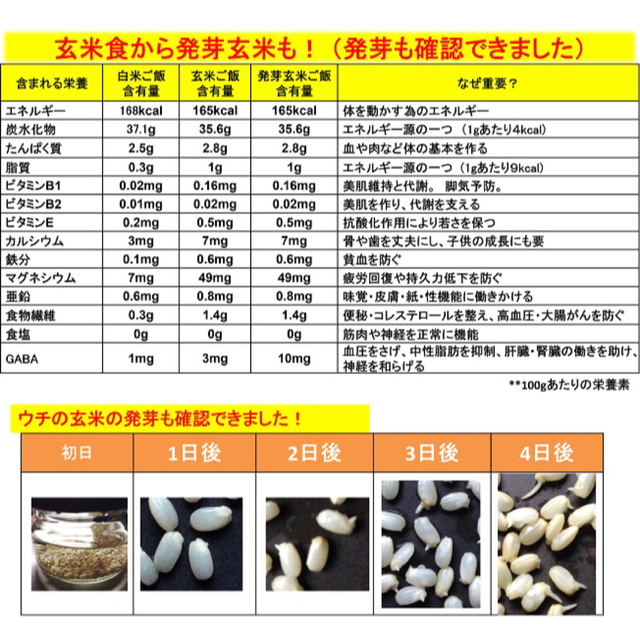 減農薬特別栽培米コシヒカリ100%　新潟県三条市旧下田産　米/穀物　新米4年　玄米30kg