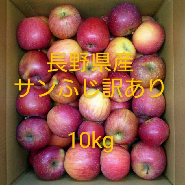 W-1 サンふじ訳あり10kg 長野県産りんご 食品/飲料/酒の食品(フルーツ)の商品写真