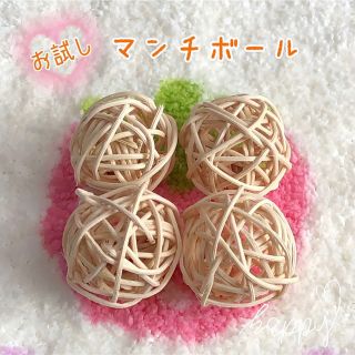 《⛱無着色》小動物 かじり木 お試し マンチボール (ナチュラル4個セット)(小動物)