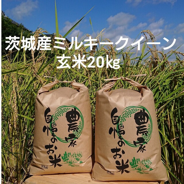 茨城令和4年産ミルキークイーン玄米20㎏ - 米/穀物