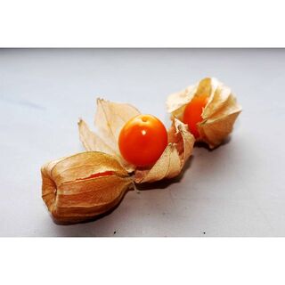 【ブルーブラッド様専用】 食用ほおずき　種子30粒(野菜)