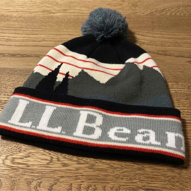 L.L.Bean(エルエルビーン)のアンディさん専用【美品】ニットキャップ レディースの帽子(ニット帽/ビーニー)の商品写真