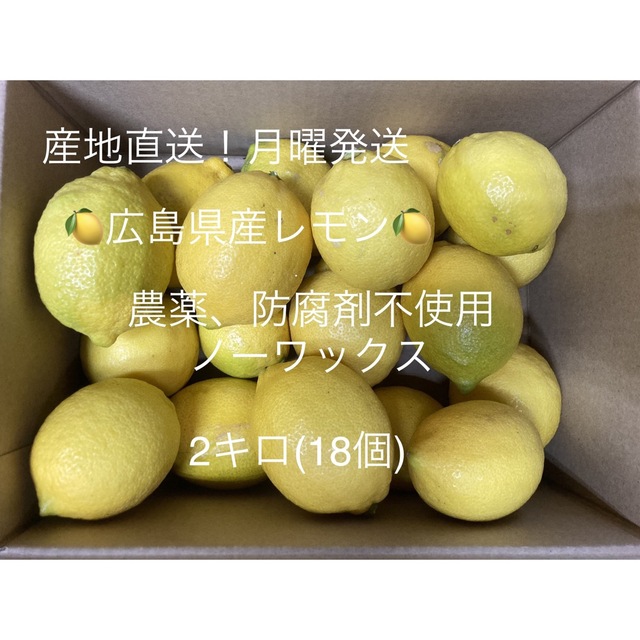 国産グリーンレモン　ほぼ無農薬　箱込み1.4kg以上　2
