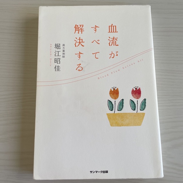 血流がすべて解決する エンタメ/ホビーの雑誌(結婚/出産/子育て)の商品写真