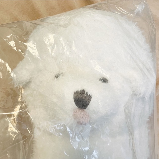 gelato pique - 【新品】ジェラートピケ ビションフリーゼ gelato pique - 【新品】ジェラートピケ ビションフリーゼ