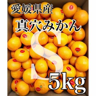 残り僅か！！高級ブランドみかん！！愛媛県産【真穴みかん】Sサイズ 5kg(フルーツ)