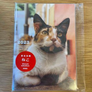 岩合光昭　ねこ　スケジュールダイアリー　2023(カレンダー/スケジュール)