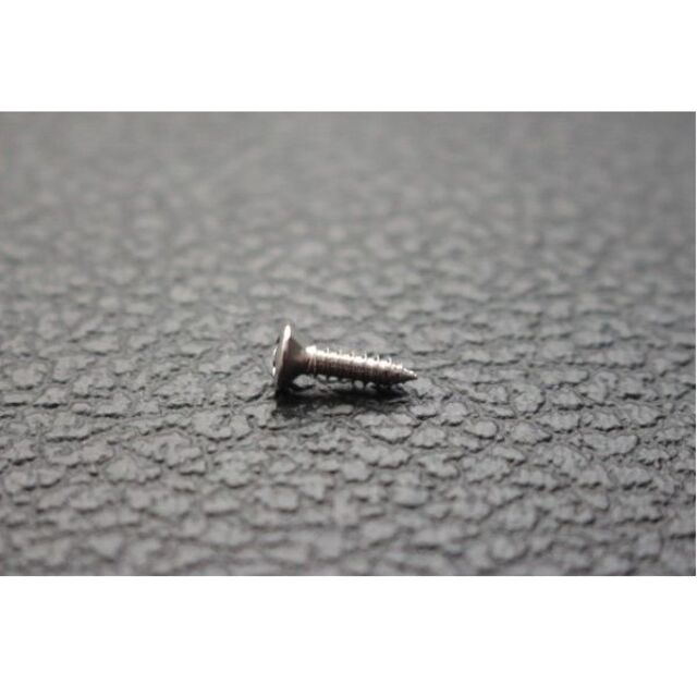 200本 日本製 ピックガード ビス ギター ネジ 3mmx12mm ニッケルの通販