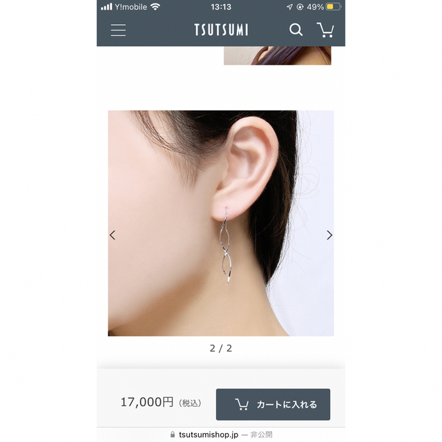 JEWELRY TSUTSUMI(ジュエリーツツミ)のTSUTSUMI プラチナピアス　お値下げ✨ レディースのアクセサリー(ピアス)の商品写真