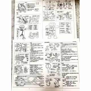 期間限定お値下げ　看護　解剖学・循環器資料　まとめ　事前学習(健康/医学)