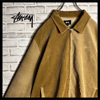 ステューシー バイカラーの通販 65点 | STUSSYを買うならラクマ