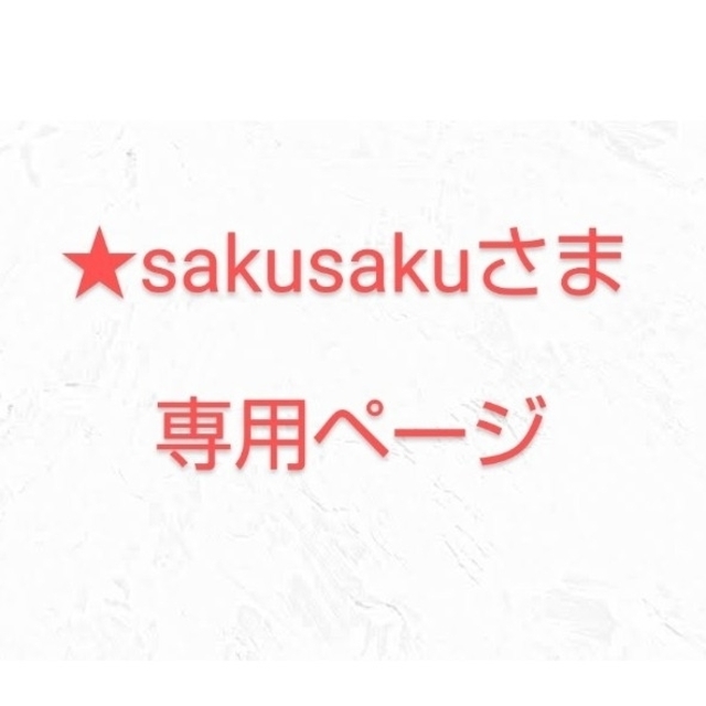 ★sakusakuさま 専用ページ エンタメ/ホビーのおもちゃ/ぬいぐるみ(ミニカー)の商品写真