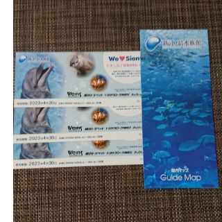 江ノ島水族館口 チケット 3枚(水族館)