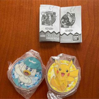 プレミアム ポケモンセンター ビッグ BIGラバーキーホルダー