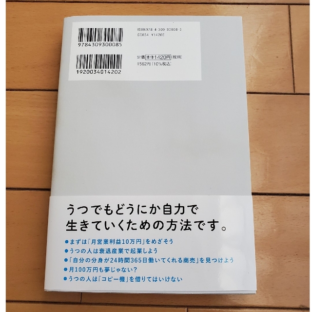 うつでも起業で生きていく エンタメ/ホビーの本(ビジネス/経済)の商品写真