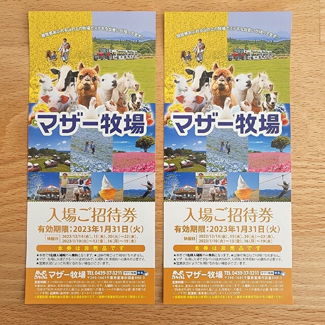 マザー牧場入場ご招待券　チケット　2枚 チケットの施設利用券(遊園地/テーマパーク)の商品写真