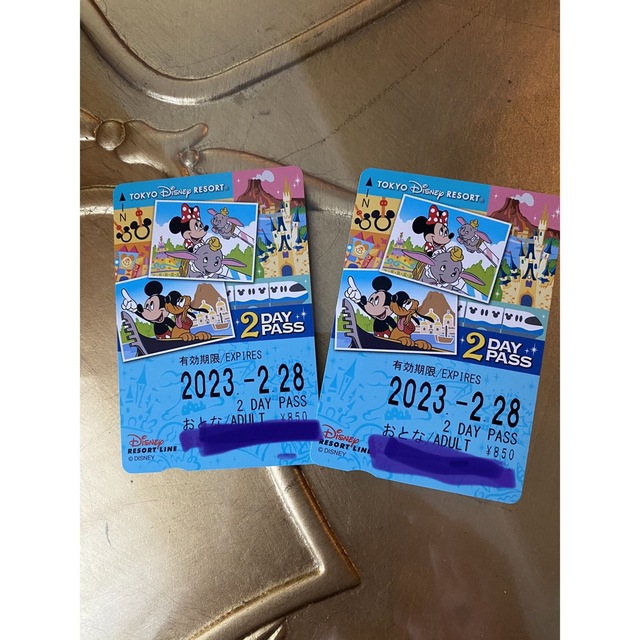 Disney(ディズニー)のリゾートライン　フリーきっぷ　2day Pass チケットの施設利用券(遊園地/テーマパーク)の商品写真