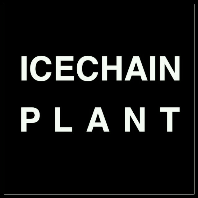 ICECHAIN-PLANT(アイスチェインプラント)の【はな】様専用ページ レディースのバッグ(ショルダーバッグ)の商品写真