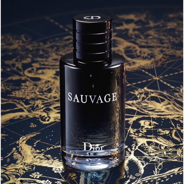 Dior SAUVAGE ディオール ソヴァージュ パルファン 100ml