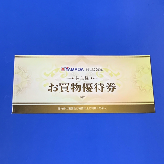 ヤマダ電機 お買物優待券 500円×6枚 2023年6月末日まで 株主優待 チケットの優待券/割引券(ショッピング)の商品写真