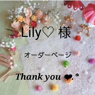 Lily♡ 様   ピンクのミニスワッグ❁*。 ６個セット(ドライフラワー)