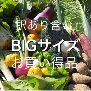 訳あり含む　採れたて新鮮野菜詰め合わせ　10kg(野菜)