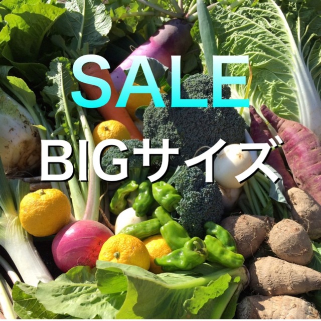 クリスマスSALE  採れたて新鮮野菜詰め合わせ　10kg 食品/飲料/酒の食品(野菜)の商品写真