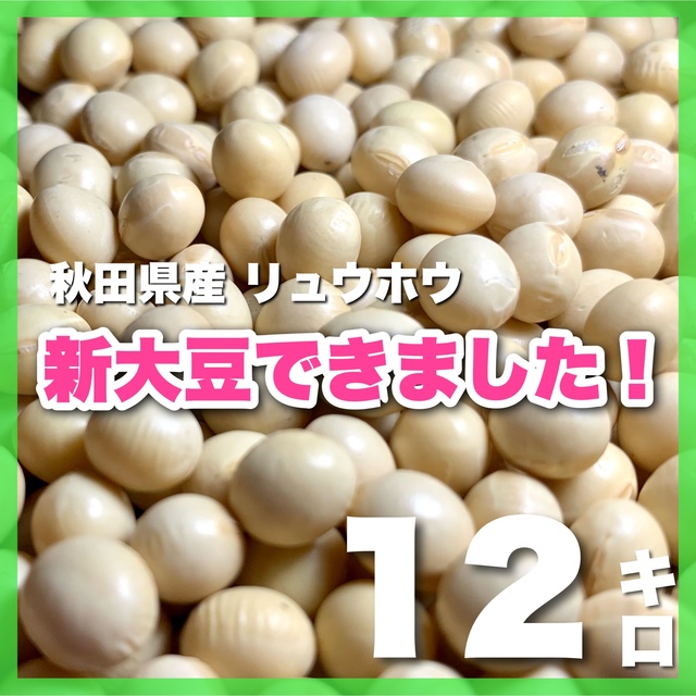 【新大豆】秋田県産リュウホウ 12キロ、味噌作り、豆乳作りに食品/飲料/酒