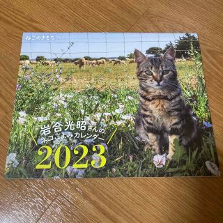 ねこのきもち　2023年カレンダー(カレンダー/スケジュール)